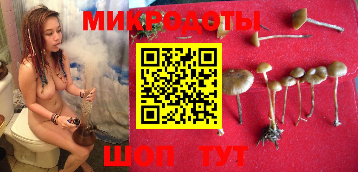 Галлюциногенные грибы MAGIC MUSHROOMS  Вход с VPN  купить  сайты  Рязань 